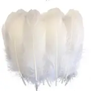 Natural Goose Feathers Clothing Accessories Pack of 100() White