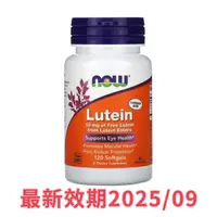 在飛比找蝦皮購物優惠-NOW Foods now foods 葉黃素 10mg 1