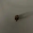 Pandora Leaf Charm - Rose