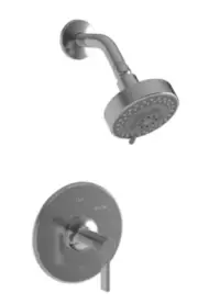 Newport Brass 3-3234BP/15A Pardees - Valve Trim Shower Set - Antique Nickel
