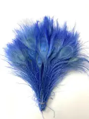 25 Pcs Sky Blue BLEACHED PEACOCK TAILS Feathers 10-12"; Halloween/Costume/Craft