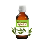 Bay Laurel Leaf Pure Natural Essential Oil Laurus nobilis by Bangota