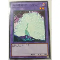 在飛比找蝦皮購物優惠-[貓先生の店] 遊戲王 DAMA-JP038 無之畢竟 萬物