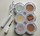 HARD CANDY NOBODY'S PERFECT CONCEALER PALETTE ~ Medium #134 ~ Sealed!