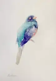 Trogon, Birds, Watercolor artwork, Handmade, Original painting on paper