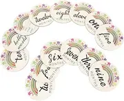 ANDRESLAD 14pcs Month Card Newborn Monthly Milestone Cards Infants Newborn Milestones Card Milestone Cards Newborn Sign Decorative Milestone Cards Babies Newborns Months Oh Wooden
