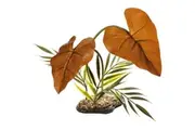 Komodo Rainforest Canopy 38cm