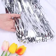 Metallic Silver Tinsel Foil Fringe Rain Curtain