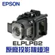 【EPSON】 ELPLP62 原廠投影機燈泡組 | EB-G5450W/EB-G5450WU/EB-G5450WUNL/EB-G5500/EB-G5600【請來電詢價】