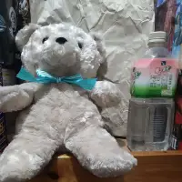 在飛比找蝦皮購物優惠-日本 正版 熊熊 稀有 後背包 泰迪熊 玩偶 娃娃 包包 背