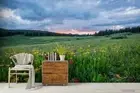 3D Grassland Floral Wallpaper Wall Mural Removable Self-adhesive 92