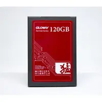 在飛比找蝦皮購物優惠-Gloway 120GB 固態硬盤 - 1 對 1