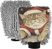 XYMZR Absorbent Microfiber Car Wash Mitt Cute Cat Christmas Hat, Funny Cute Anime Scratch Free for Cars Cleaning, Home Cleaning Mitts, 2 Pack, 10.24” L x 7.09” W