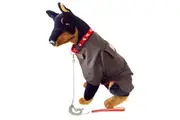 JACARU Wax Oil Skin Cotton Dog Coat Jacket Fully Lined Windbreaker Winter Vest