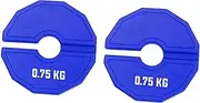kowaku 2Pcs Fractional Weight Plate Dumbell Weight Gym Supplies Small Change Plate for Micro Loading