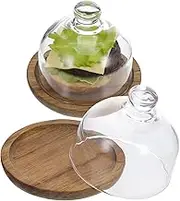 FUNNETOYU 2 Pcs Glass Cake Plate with Dome Cover Elegant Dessert Display Tray for Cakes Cookies Pastries Easy to Clean Sturdy Convenient for Home and Parties