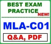 MLA-C01 AWS Certified Machine Learning Engineer Associate EXAM Q&A ~ LATEST 2025