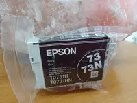 在飛比找露天拍賣優惠-彩繪軒裸裝EPSON 73HN黑色原廠墨水T30/T40W/