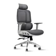 Office Chair Executive Computer Chairs Study Home Mesh Lumbar Back Seat Ergonomic Recliner - Grey - Grey Mesh