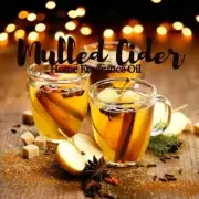 Mulled Cider Home Fragrance Aromatherapy Diffuser Warmer Burning Oil