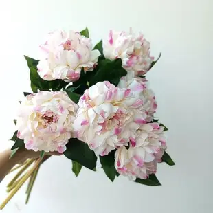 高品質掃粉王妃芍藥 單頭牡丹花 品質家居假花擺件 拍攝道具 花藝