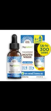 Guru Nanda Concentrated Mouthwash Oil Wild Mint