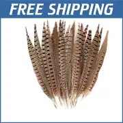 Elegant 14-16 Inch Pheasant Tail Feathers - Perfect for Wedding Decor & Crafts