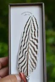 Birds of a Feather Two’s Company Lily Feather Pen Quill AA