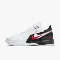 在飛比找momo購物網優惠-【NIKE 耐吉】ZM LeBron NXXT GEN AM