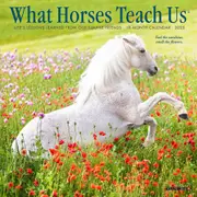 2025 What Horses Teach Us Mini Wall Calendar