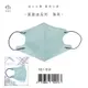 【新寵兒】成人3D立體醫療口罩 莫蘭迪-薄荷 10片/包