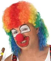 Rodeo Bozo Redneck ADULT MULTI COLOR RAINBOW CLOWN MULLET WIG