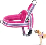 PAW ID Dog Harness No Pull for Small and Medium Dogs, Soft Flannel Padded Step in Reflective Easy Walker Escape Proof Dog Vest Harness (S, Pink)