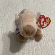 TY Beanie Baby “Knuckles the Pig” 1999 Retired with Tag and “Swirly” Tush Tag