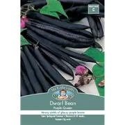 Mr Fothergill's Purple Queen Dwarf Bean Vegetable Seed