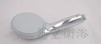 在飛比找Yahoo奇摩購物中心優惠-【麗室衛浴】德國 GROHE TEMPESTA 100 28