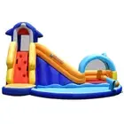 Ultimate Fun with Inflatable Bouncy House | Slide, Splash Pool | Multicolor | No