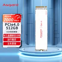 在飛比找京東台灣優惠-阿斯加特（Asgard） AN4+ 512GB SSD固態硬