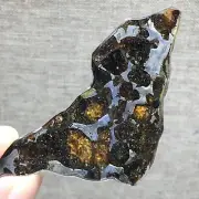 41.45Ct Brenham Olive Meteorite Pendant Olive Meteorite Slice
