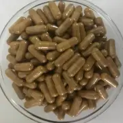 Eyebright Extract Bilberry Marigold Ginkgo Biloba NAC Taurine Carotene
