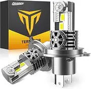 Termitor H4/9003 Fog Light Bulbs, Quick Installation, HB3 Fog Light Bulbs for Night Driving, Pack of 2