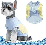 Yoolhamy Dog Cooling Vest, Summer T Shirt Breathable Cooler Coat with D-Ring Puppy tshirt Quick Dry Lightweight Cool Shirts for Small Pet Chihuahua, Yorkshire Clothes (Blue, XS)