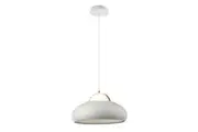 Interior LED Tri-CCT White Dome with Brass Highlight Pendant Light