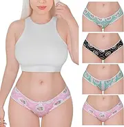 [LittleForBig] Women's Ladies Soft Cotton Underwear Comfortable Hipster Briefs 4 Pack Panties Set - Shabby Chic