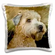 3dRose Soft Coated Wheaten Terrier Portrait 16x16 inch Pillow Case