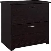 Bush Business Furniture 2 Drawer Lateral File Cabinet | Letter, Legal, and A4-Size Document Storage for Home Office, Wood, Espresso Oak, (32W) US