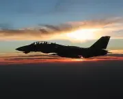 F-14 TOMCAT SUNSET IN FLIGHT NAVY 8x10 GLOSSY PHOTO PRINT