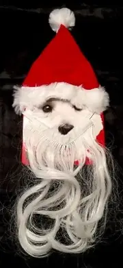Christmas Santa Hat & Beard by Simply Wag Size XS/S Fits Aprox 13-14 inches NWT