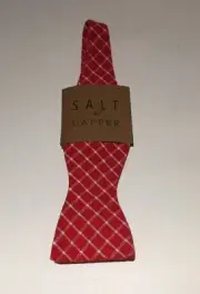 Salt + Dapper Red Checked Cotton Bow Tie