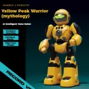 Remote Control Programming Robot Gesture Smart Interactive Early Education Toy